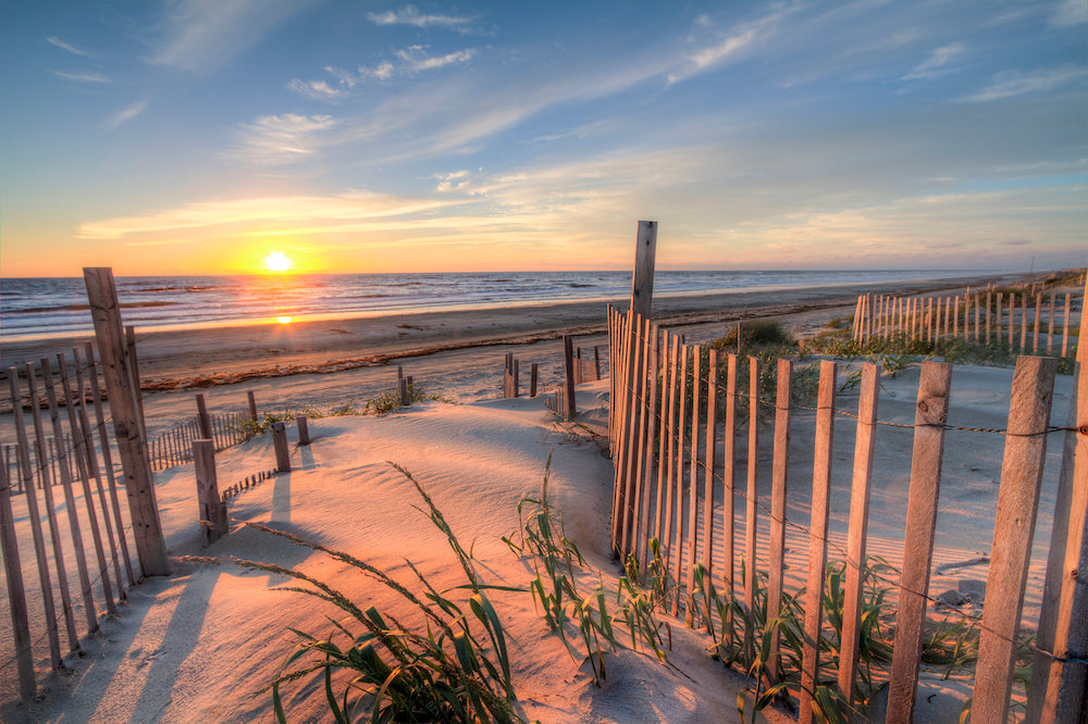 From Sunburned to Sol Aid: How Two Brothers from the Outer Banks Created a Better Way to Heal Skin